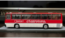 Автобус Икарус ( IKARUS) -256.54 СТАВРОПОЛЬ, масштабная модель, Classicbus, scale43