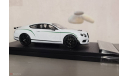 Bentley Continental GT3 - R 2015 Limited Edition, масштабная модель, Almost Real, 1:43, 1/43