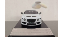 Bentley Continental GT3 - R 2015 Limited Edition, масштабная модель, Almost Real, 1:43, 1/43