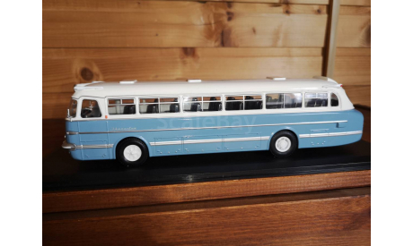 Ikarus 55 Lux, масштабная модель, Classicbus, scale43