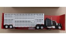 Kenworth W 900  New Ray, масштабная модель, New-Ray Toys, scale43