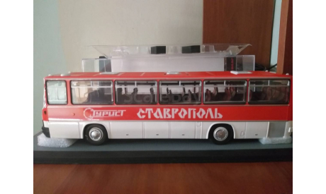 Модель автобуса Икарус 256.54 Ставрополь, масштабная модель, Ikarus, Classicbus, scale43