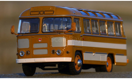 ПАЗ 672 жёлто-белый, масштабная модель, Classicbus, 1:43, 1/43