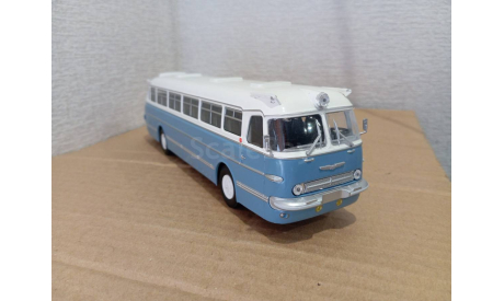 Икарус 55 от Classicbus, масштабная модель, scale43, Ikarus