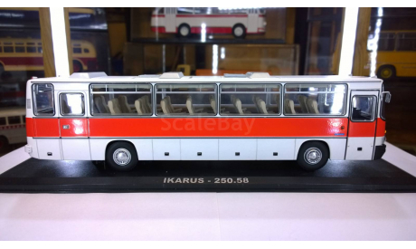 Икарус 250.58 (IKARUS-250.58) чистый вариант, масштабная модель, Classicbus, 1:43, 1/43