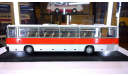 Икарус 250.58 (IKARUS-250.58) чистый вариант, масштабная модель, Classicbus, 1:43, 1/43