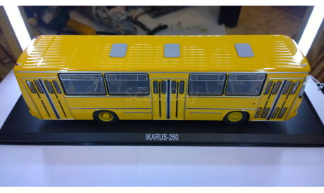 ИКАРУС 260 (IKARUS-260), масштабная модель, Classicbus, scale43