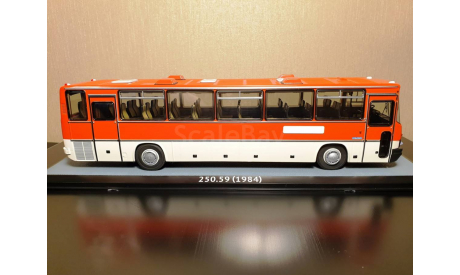 IKARUS 250.59 1984 г.  Красно-Белый Арт. 04019 CLASSICBUS, масштабная модель, 1:43, 1/43