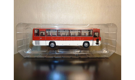 IKARUS 256.54 Икарус Красно-Белый с ГРЗ Арт. 04017E DEMPRICE, масштабная модель, scale43