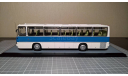 Модель IKARUS 256.51 бело-синий, масштабная модель, Classicbus, 1:43, 1/43