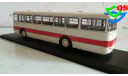 ИКАРУС-556.10 ClassicBus (с номерами и указателями) Lim. 600 pcs. 1/43, масштабная модель, scale43, Ikarus