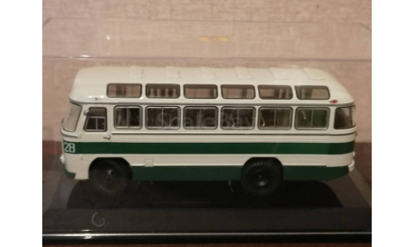 Паз-652б, масштабная модель, DiP Models, scale43