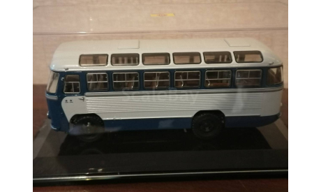 Паз-652, масштабная модель, DiP Models, scale43