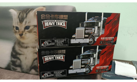 Peterbilt 379  1/41, масштабная модель, неизвестный, scale43
