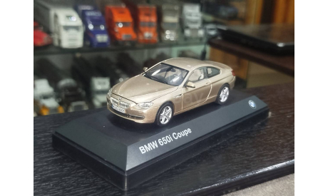 BMW  650 I Coupe, масштабная модель, Paragon, scale43