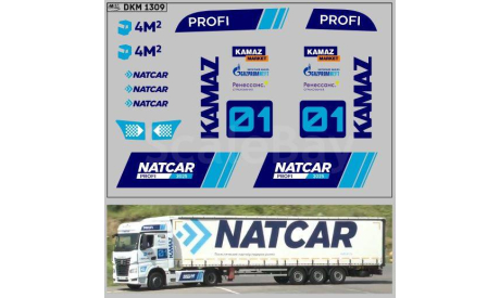 DKM1309	Набор декалей 54901 КОНКУРС PROFI NATCAR    Maksiprof 1:43, фототравление, декали, краски, материалы, scale43