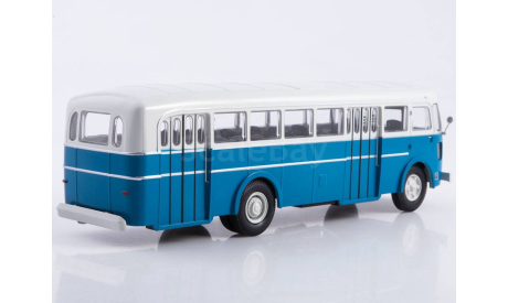Наши Автобусы №52, Икарус-60 1:43, масштабная модель, Наши Автобусы (MODIMIO Collections), scale43, Ikarus