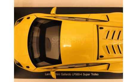 AutoArt Lamborghini Gallardo LP560 Super Trofeo, масштабная модель, scale18