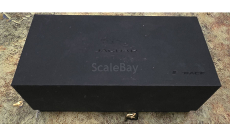 Jaguar F-Pace TSM, масштабная модель, TSM Model, scale43