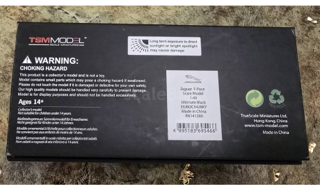 Jaguar F-Pace TSM, масштабная модель, TSM Model, scale43