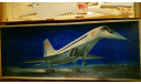 Сборная модель самолета ТУ 144 Plasticart 1/100, сборные модели авиации, Туполев, scale100