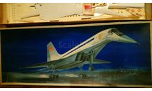 Сборная модель самолета ТУ 144 Plasticart 1/100, сборные модели авиации, scale100, Туполев