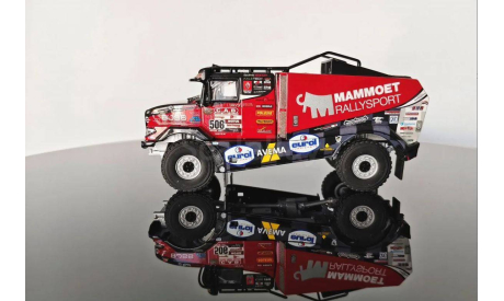 rally racing Renault Dakar №506, масштабная модель, WSI, scale50