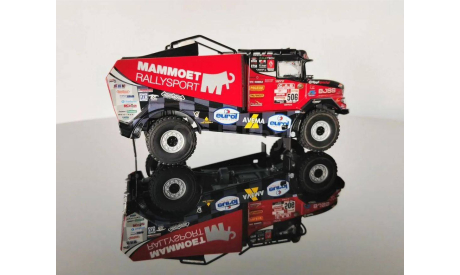 rally racing Renault Dakar №506, масштабная модель, WSI, scale50