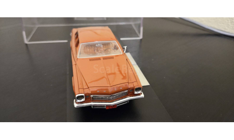 Buick Century Ginger Poly 1974  Goldvarg или HRN-Model, масштабная модель, 1:43, 1/43