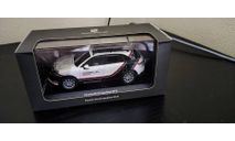 Porsche Cayenne World  Expedition 2018 Minichamps, масштабная модель, scale43