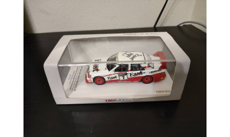 Mercedes 190E 190 E Evo2 1991 TSM  124374, масштабная модель, Mercedes-Benz, True Scale Miniatures, scale43