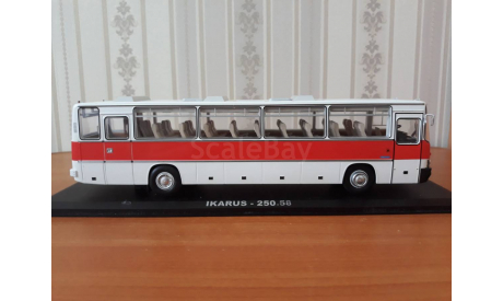 Икарус 250.58 Classicbus, масштабная модель, Ikarus, scale43