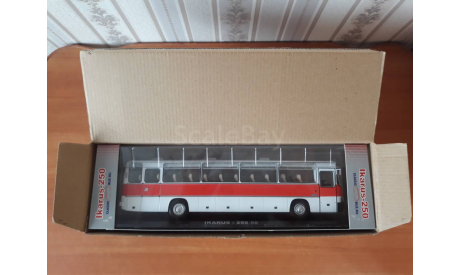 Икарус 250.58 Classicbus, масштабная модель, Ikarus, scale43
