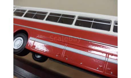 IKARUS Икарус 55, первый выпуск, масштабная модель, Classicbus, 1:43, 1/43
