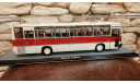 Икарус 256.51 1981г. Classicbus, масштабная модель, scale43, Ikarus