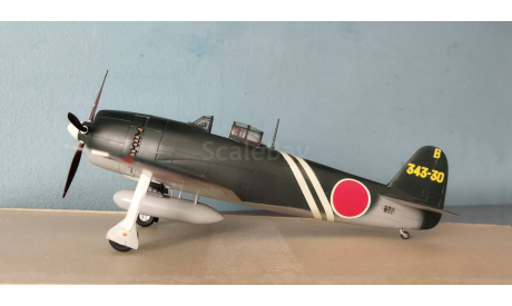 Kawanishi N1K2J George Shiden-Kai 1-48 Hasegawa custom Pro build model, сборные модели авиации, scale48