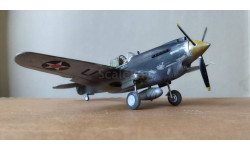 Pro built Monogram 1/48 Revell Curtiss P-40B Tiger Shark  model