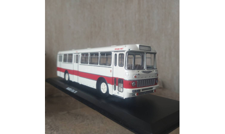 Икарус 556.10, масштабная модель, Classicbus, scale43, Ikarus