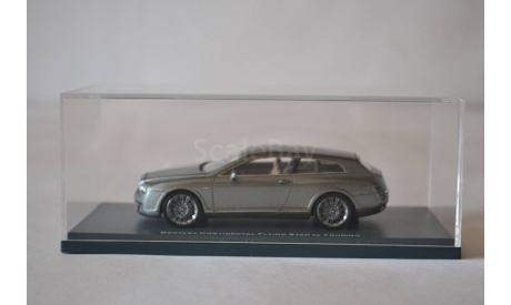 Bentley Continental Flying Star by Touiring 2010 (44215), масштабная модель, Neo Scale Models, scale43
