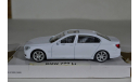 BMW 750 Li, масштабная модель, Rastar, scale43