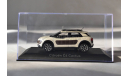 Citroen C4 Cactus, масштабная модель, Norev, scale43, Citroën