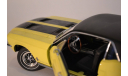 Ford Mustang  Ski Country Special !967, масштабная модель, 1:18, 1/18, Greenlight Collectibles