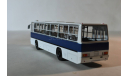 Ikarus 260 (бел.син.), масштабная модель, сова, scale43