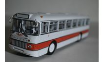 IKARUS 556 (б-к), масштабная модель, Советский Автобус, scale43