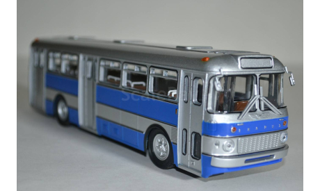 IKARUS 556 (сер-син), масштабная модель, Советский Автобус, scale43