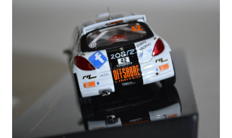 Peugeot 207 S2000 #42 R.Mon.Car. 2013 (546), масштабная модель, IXO Rally (серии RAC, RAM), scale43