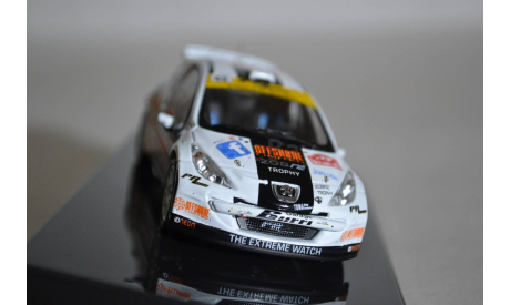 Peugeot 207 S2000 #42 R.Mon.Car. 2013 (546), масштабная модель, IXO Rally (серии RAC, RAM), scale43
