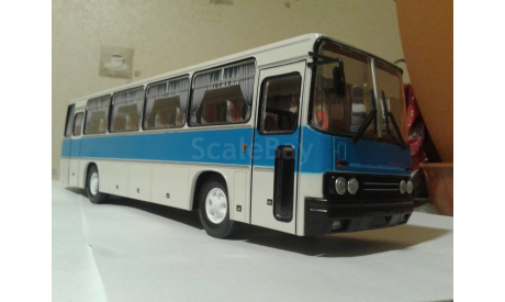 икарус 256, масштабная модель, Ikarus, MODIMIO, scale43