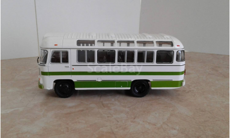 ПАЗ - 3201 ... (СовА) ..., масштабная модель, Советский Автобус, scale43