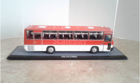 Ikarus Икарус - 256.54 (1985г.) ... (ClassicBus) ..., масштабная модель, scale43